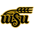 Wichita St